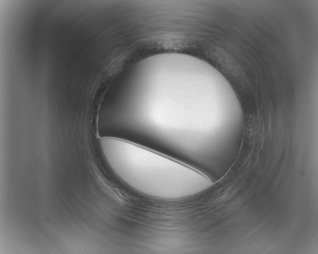 X0000075880639200609151008