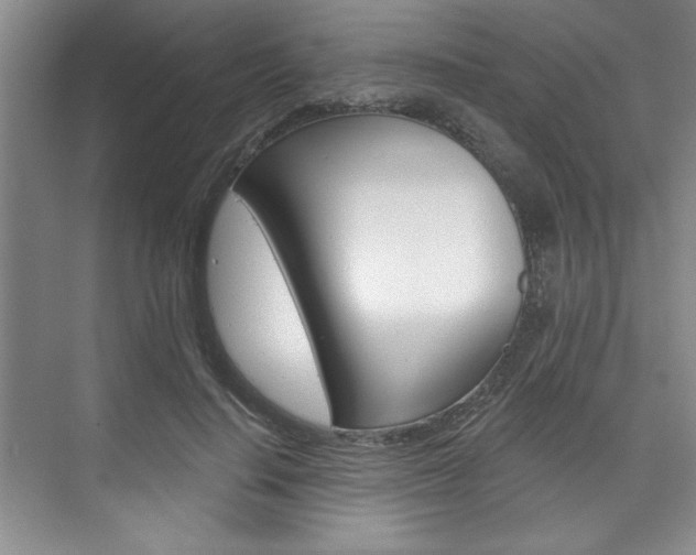 X0000075880644200609151008
