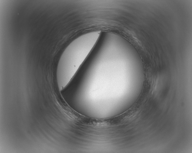 X0000075880645200609151008