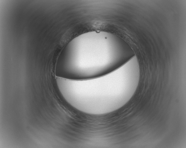 X0000075880651200609151008