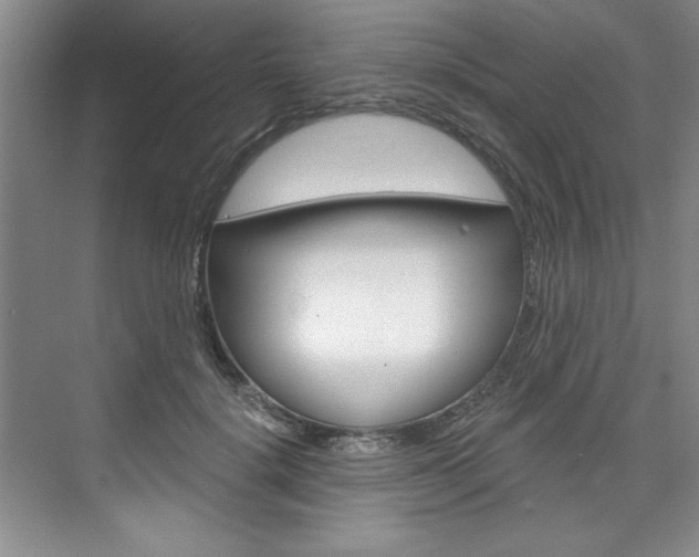 X0000075880652200609151008