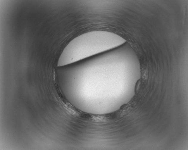 X0000075880666200609151009