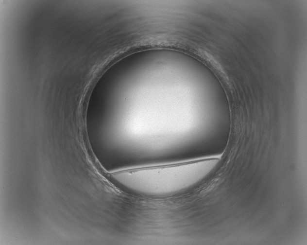 X0000075880673200609151008