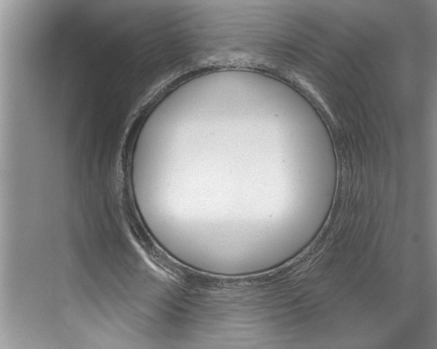 X0000075880674200609151008