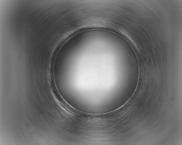X0000075880677200609151008