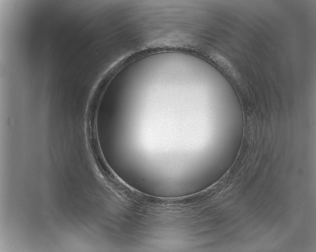 X0000075880680200609151008