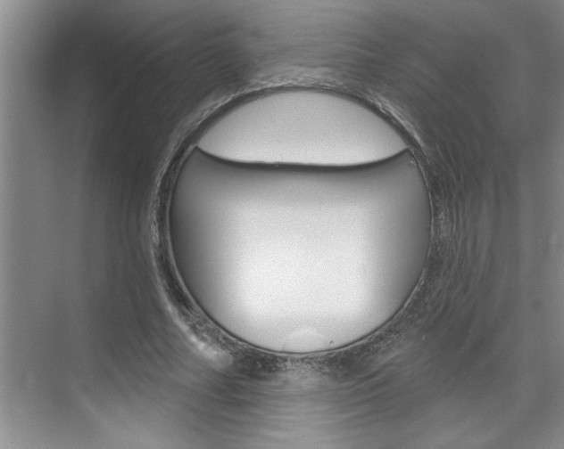 X0000075880682200609151008