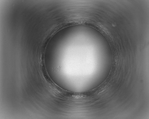 X0000075880693200609151008