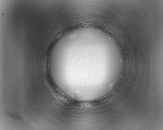 X0000075880698200609151007