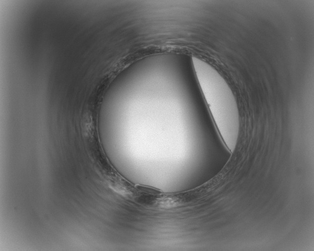 X0000075880704200609151007