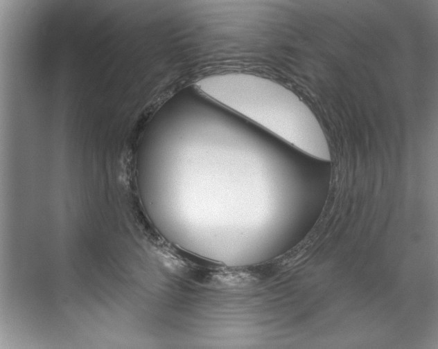 X0000075880712200609151007