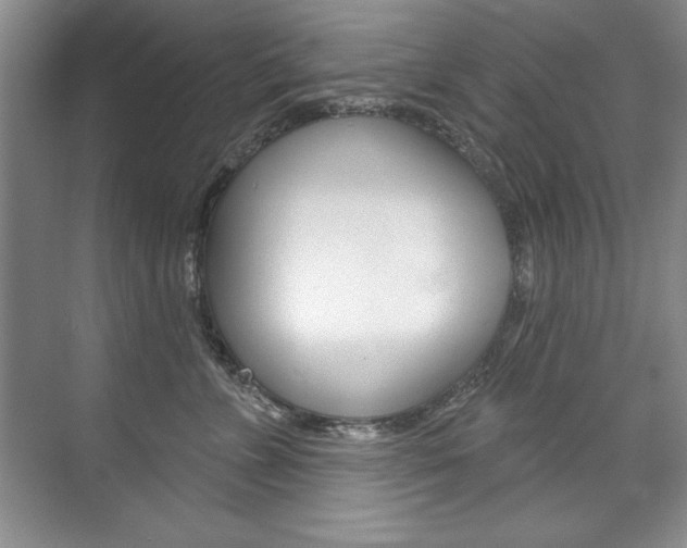 X0000075880715200609151007