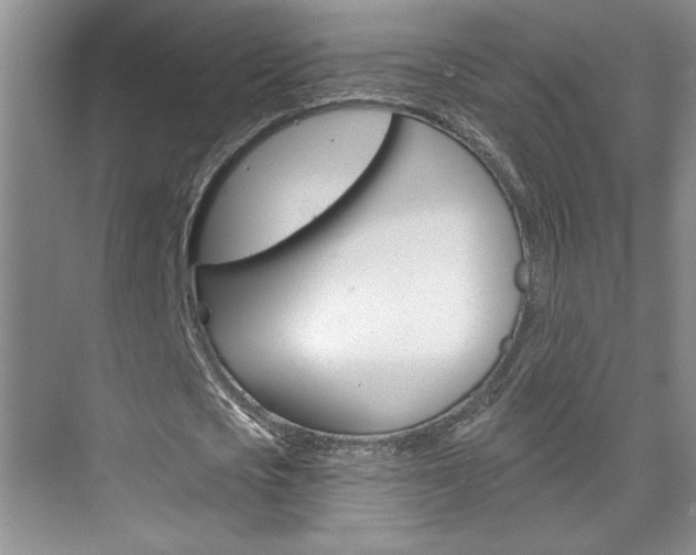 X0000075880721200609151006