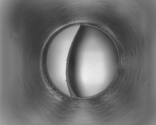 X0000075880724200609151006