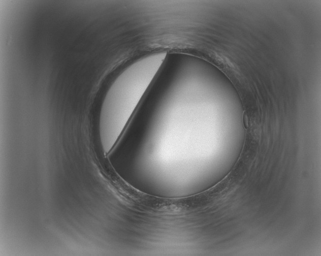 X0000075880735200609151007
