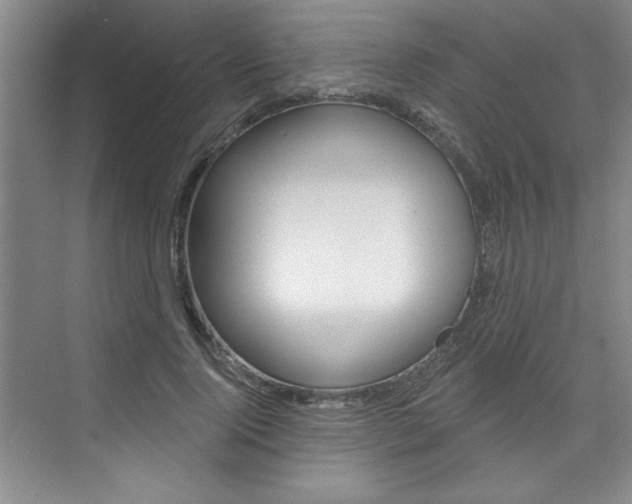 X0000075880740200609151007