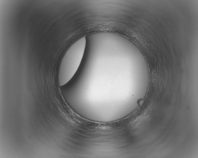 X0000075880741200609151007