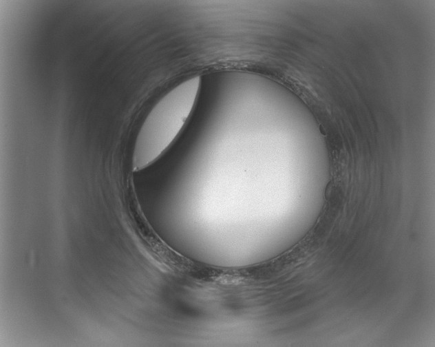 X0000075880742200609151007