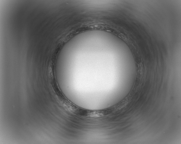 X0000075880754200609151007