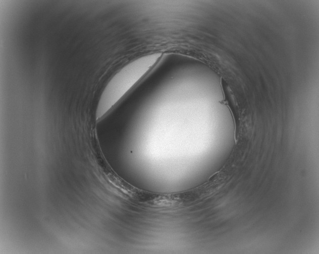 X0000075880756200609151007