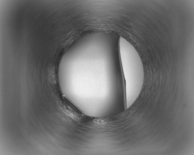 X0000075880764200609151007