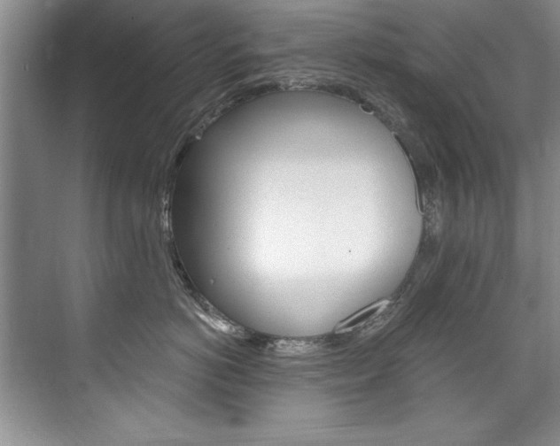 X0000075880766200609151007