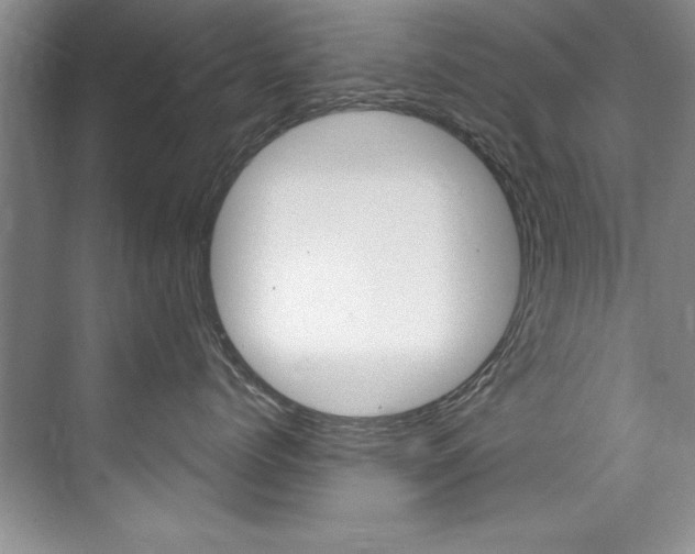 X0000075880768200609151007