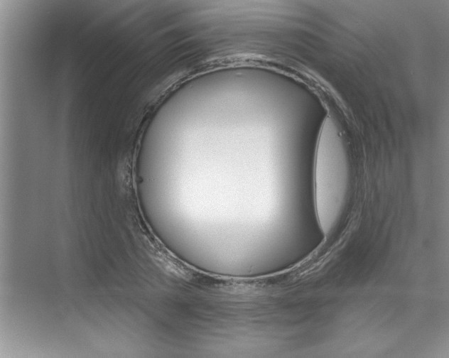 X0000075880785200609151006