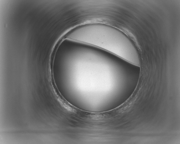 X0000075880792200609151006