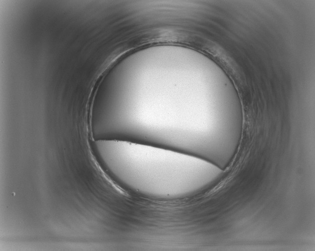 X0000075880794200609151006