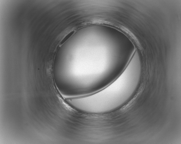X0000075880801200609151006