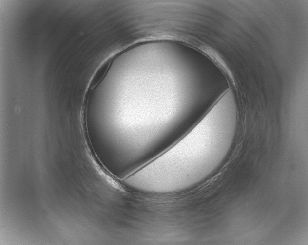 X0000075880805200609151006