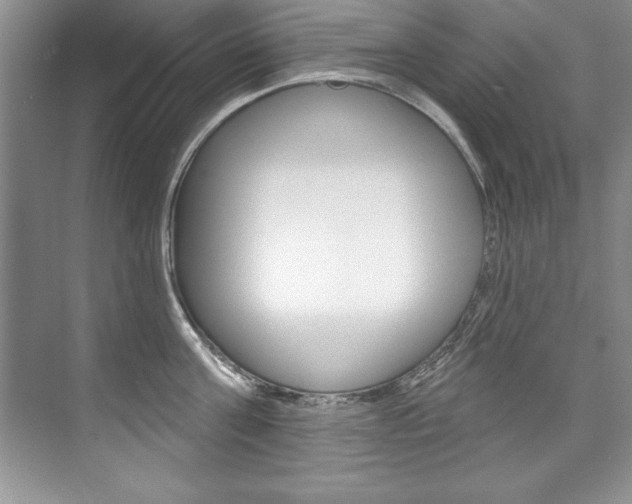 X0000075880811200609151006