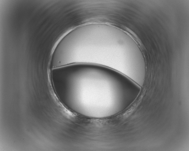 X0000075880812200609151006