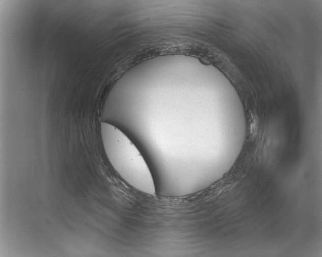 X0000075880819200609151005