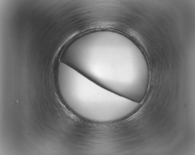 X0000075880827200609151005