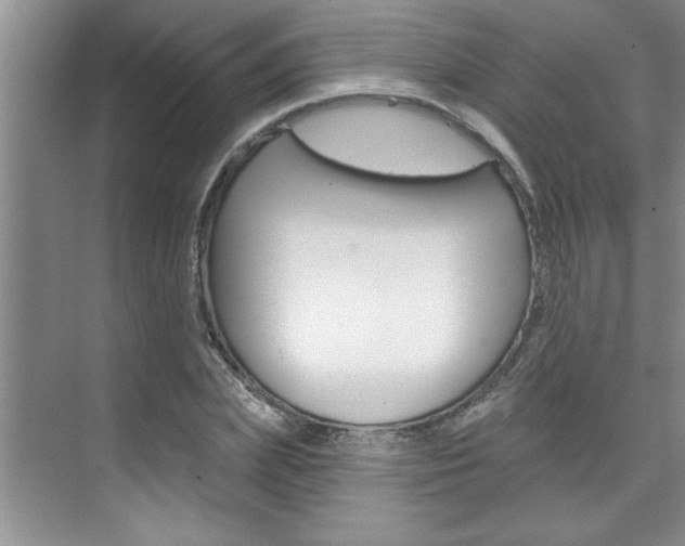 X0000075880831200609151005