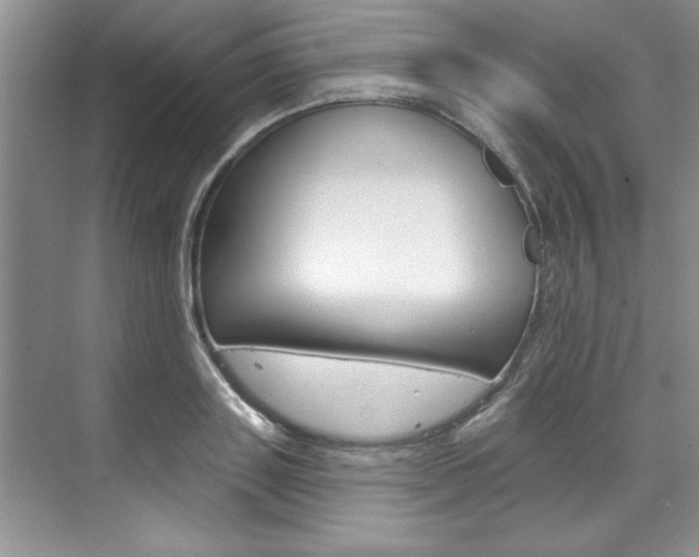 X0000075880843200609151005