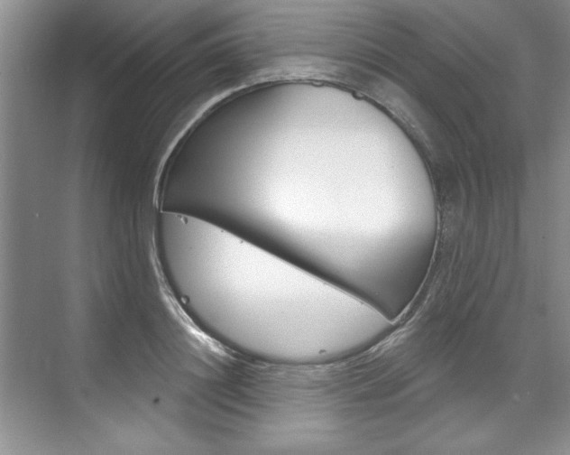 X0000075880844200609151005
