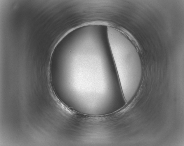 X0000075880860200609151005