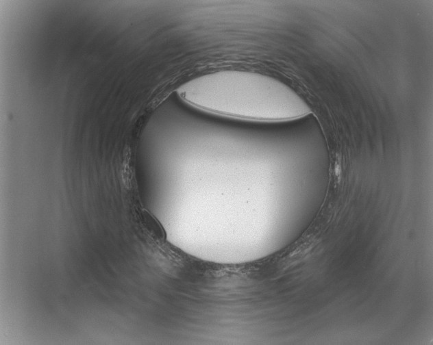 X0000075880867200609151005