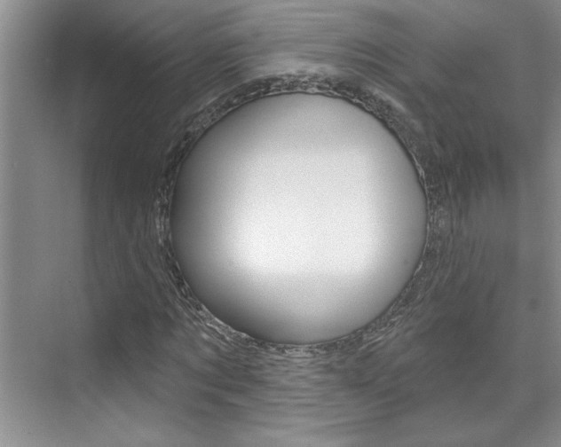X0000075880869200609151005