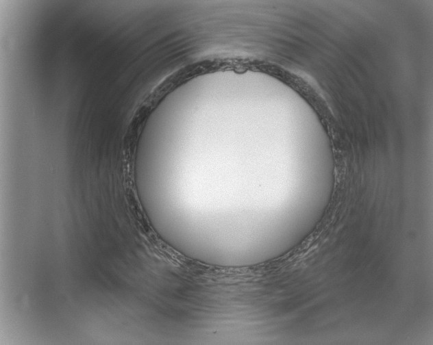 X0000075880871200609151005