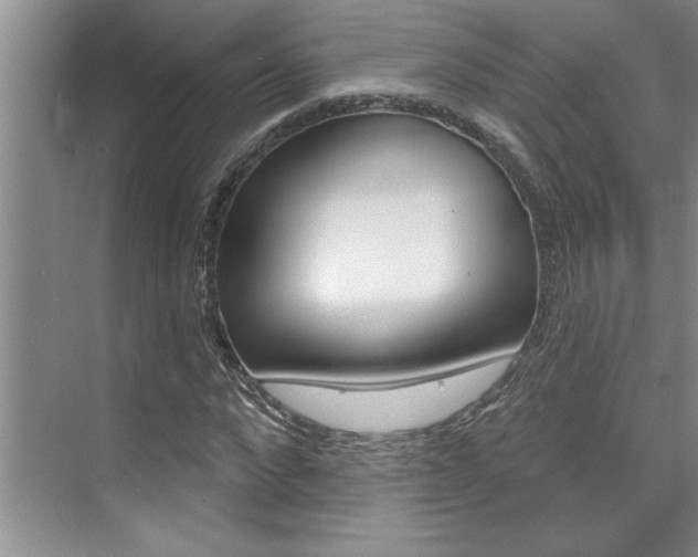 X0000075880872200609151005