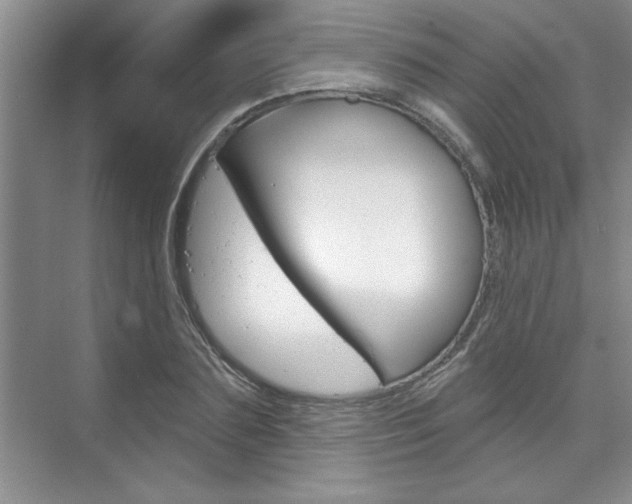 X0000075880883200609151004