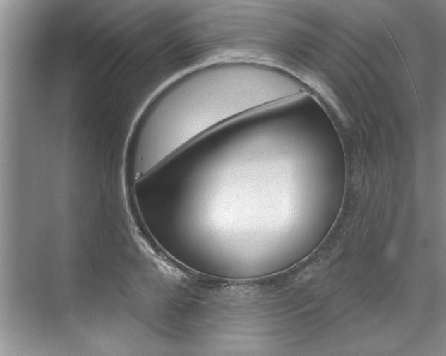 X0000075880888200609151004
