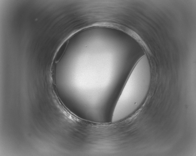 X0000075880908200609151004