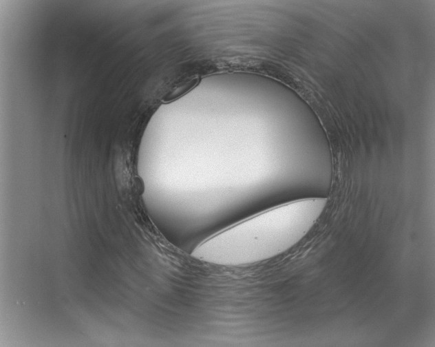 X0000075880915200609151003