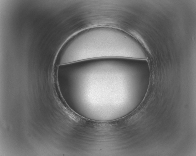 X0000075880924200609151003