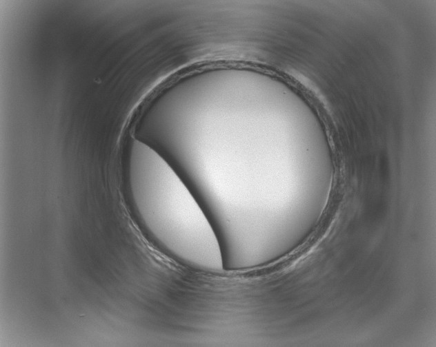 X0000075880925200609151003